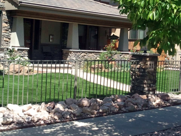 Faux Grass Gumlog, Georgia Gardeners, Front Yard Design