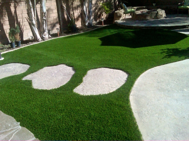 Faux Grass Scottdale, Georgia Design Ideas, Backyard Landscape Ideas