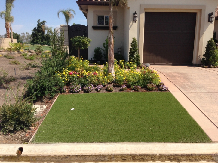 Grass Carpet Saint Marys, Georgia Landscape Photos, Front Yard Landscaping