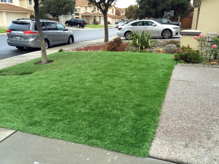 Grass Carpet Tucker, Georgia Lawn And Garden, Front Yard Landscaping Ideas