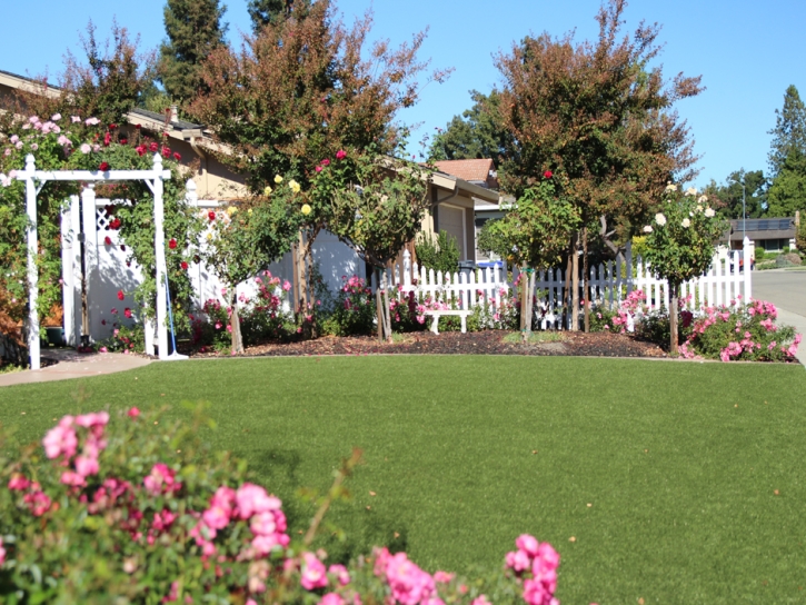 Grass Installation Chattanooga Valley, Georgia Roof Top, Small Front Yard Landscaping