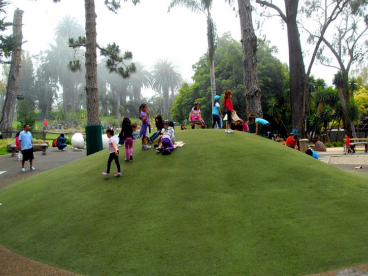 Grass Installation Coolidge, Georgia Home And Garden, Parks