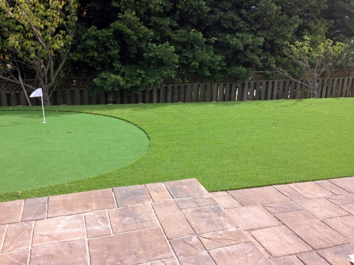 Grass Turf Edison, Georgia Home Putting Green, Small Backyard Ideas