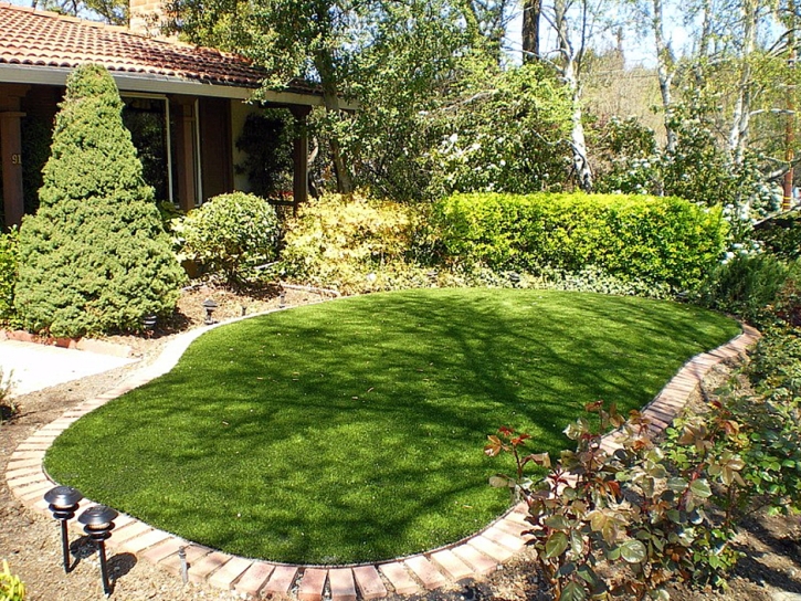 Green Lawn Bonanza, Georgia Landscaping, Backyard Design