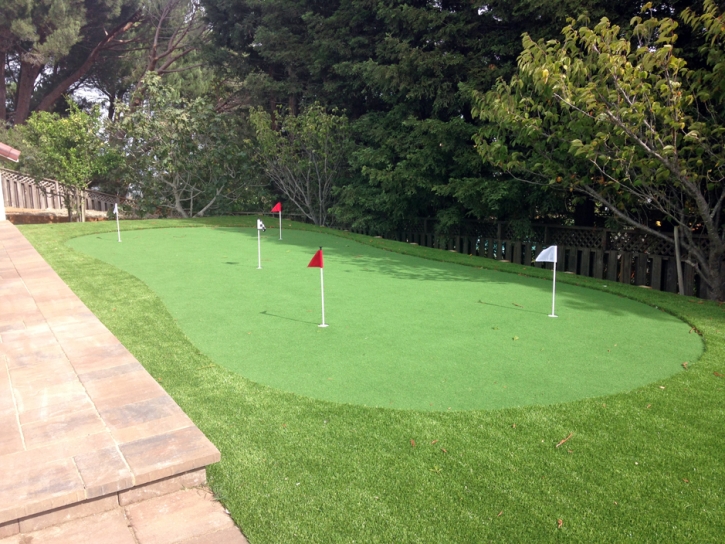 Green Lawn Deenwood, Georgia Home Putting Green, Backyard Ideas