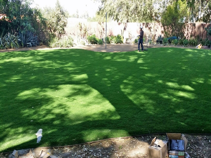 Green Lawn Doerun, Georgia Rooftop, Backyard Design