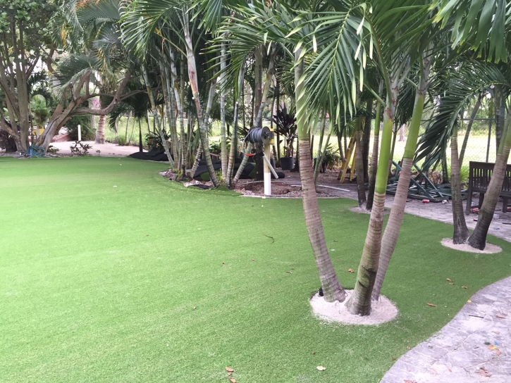 How To Install Artificial Grass Indian Springs, Georgia Landscaping Business, Commercial Landscape