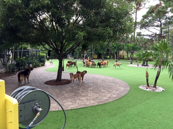 How To Install Artificial Grass Sugar Hill, Georgia Rooftop, Commercial Landscape