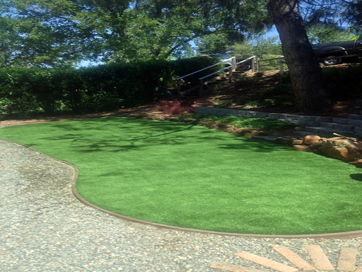 Installing Artificial Grass Glenwood, Georgia Landscaping, Backyard Ideas