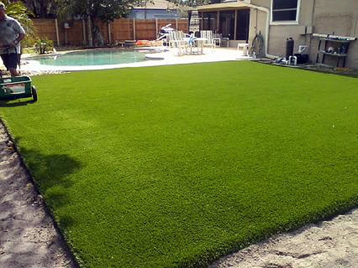 Installing Artificial Grass Lula, Georgia Landscaping Business, Backyard Garden Ideas