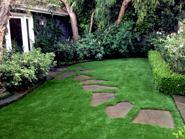 Installing Artificial Grass Meigs, Georgia Home And Garden, Backyard Ideas