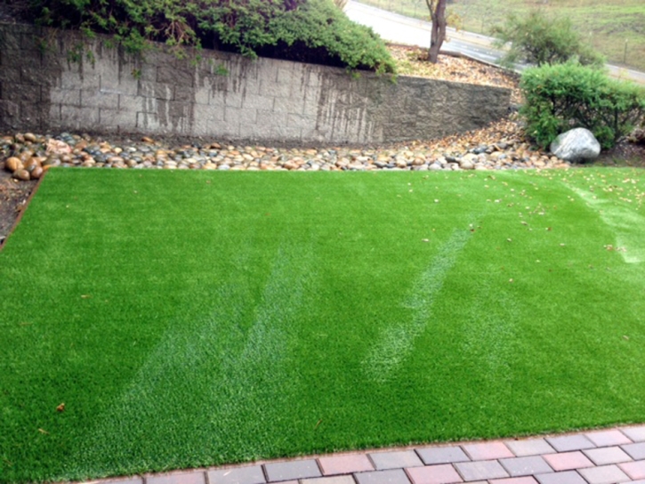 Installing Artificial Grass Pavo, Georgia Backyard Deck Ideas, Front Yard Landscaping