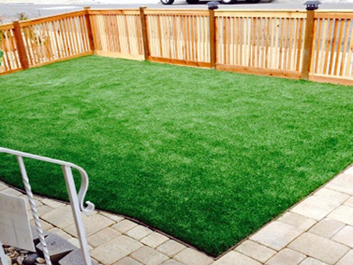 Installing Artificial Grass Reed Creek, Georgia Lawn And Garden, Backyard Design