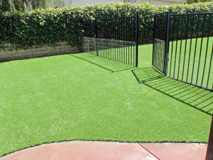 Installing Artificial Grass Waleska, Georgia Dog Run, Front Yard Ideas