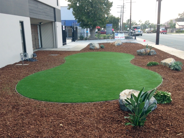 Lawn Services Guyton, Georgia Rooftop, Commercial Landscape