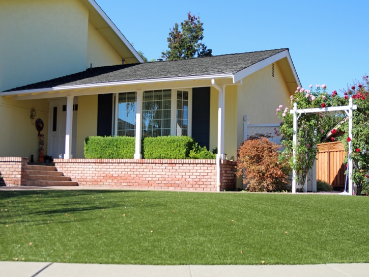 Outdoor Carpet Country Club Estates, Georgia City Landscape, Small Front Yard Landscaping