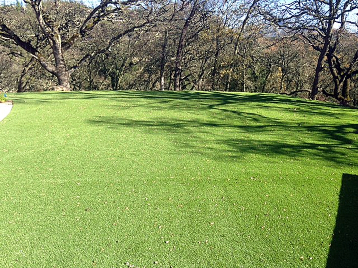 Outdoor Carpet Fairmount, Georgia Lawn And Garden, Recreational Areas