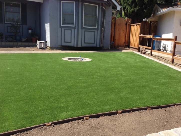 Outdoor Carpet Pine Mountain, Georgia City Landscape, Backyard Landscaping Ideas