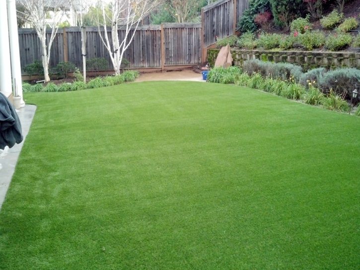 Outdoor Carpet Remerton, Georgia Landscape Photos, Backyard Garden Ideas