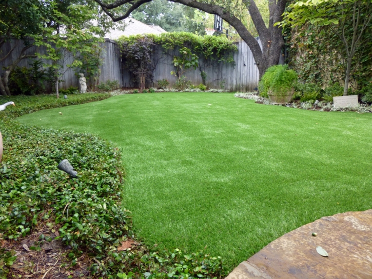 Outdoor Carpet Stillmore, Georgia Landscaping, Backyard Landscape Ideas