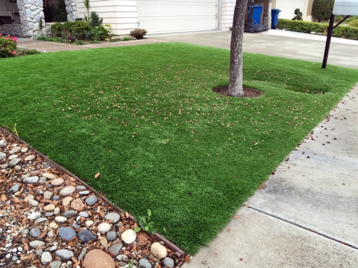 Plastic Grass Lithonia, Georgia Rooftop, Front Yard Landscaping