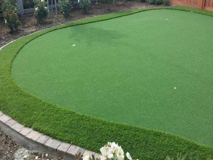 Plastic Grass Loganville, Georgia Home Putting Green, Small Backyard Ideas