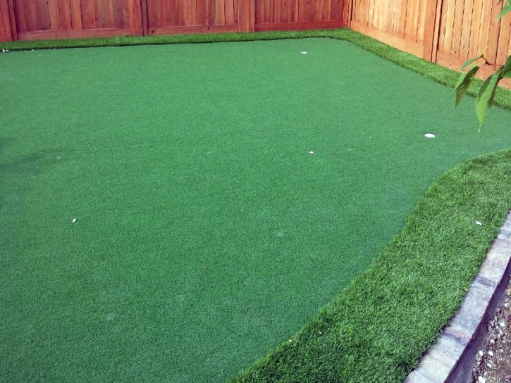 Plastic Grass Screven, Georgia Rooftop, Backyard Landscaping Ideas