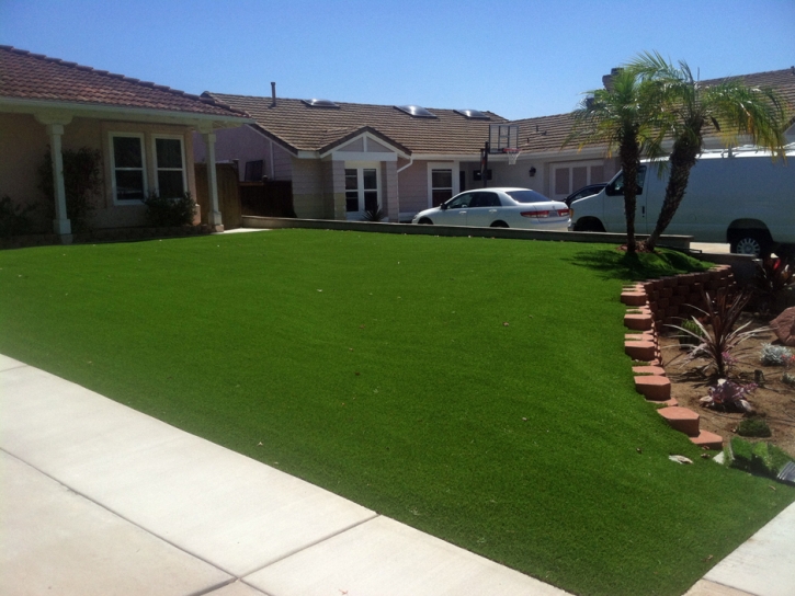 Plastic Grass Unadilla, Georgia Lawn And Garden, Front Yard Landscaping