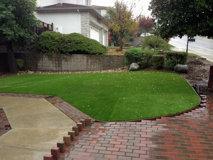 Synthetic Grass Canon, Georgia City Landscape, Backyard Landscaping