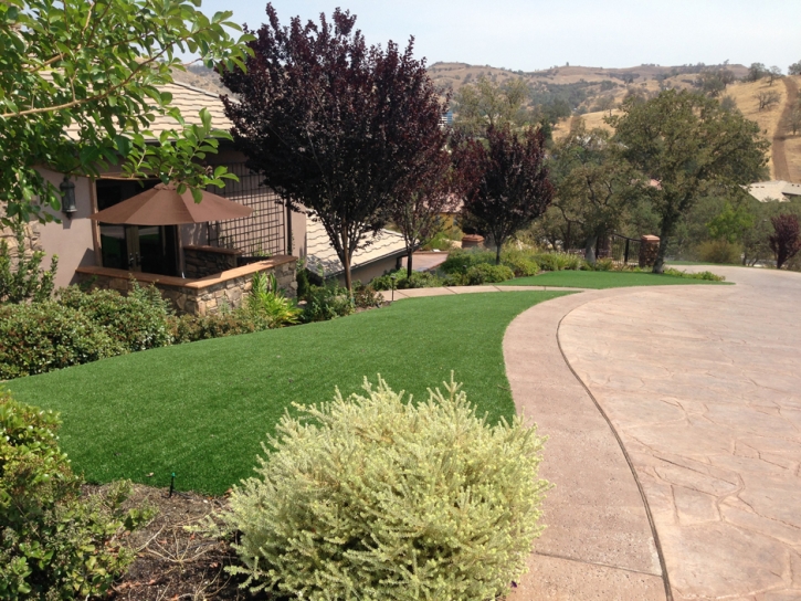 Synthetic Grass Chattanooga Valley, Georgia Gardeners, Front Yard Landscaping