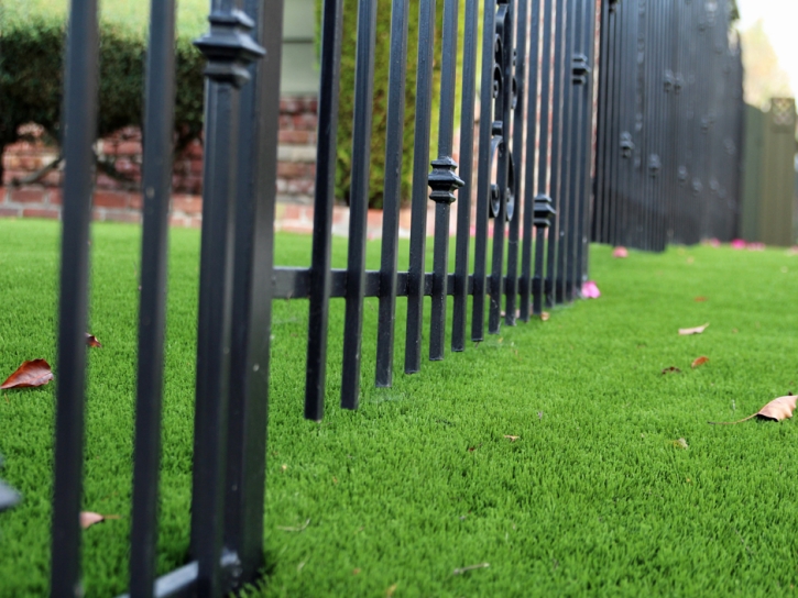 Synthetic Grass Cost Buford, Georgia Lawns, Front Yard Design