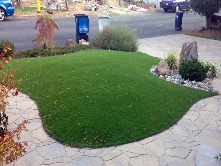 Synthetic Grass Cost Odum, Georgia Lawn And Garden