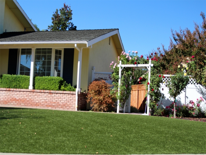 Synthetic Grass Cost Portal, Georgia Landscape Ideas, Small Front Yard Landscaping