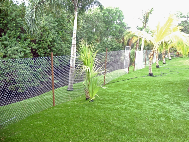 Synthetic Grass Glennville, Georgia Roof Top, Backyard Designs