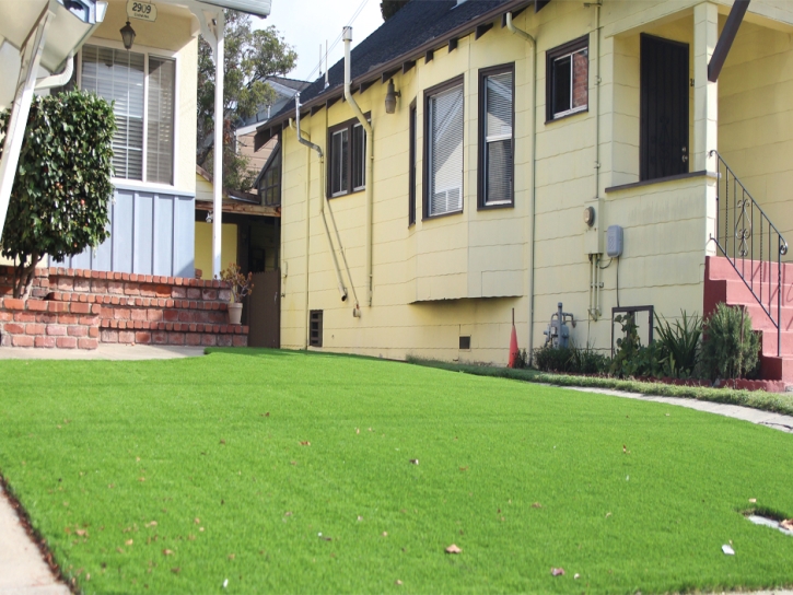 Synthetic Grass Lake City, Georgia Roof Top, Front Yard Ideas