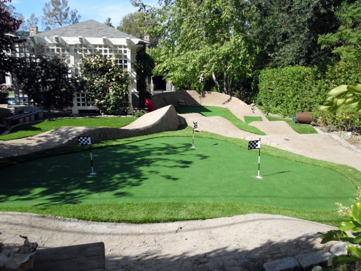 Synthetic Grass Norman Park, Georgia Home Putting Green, Beautiful Backyards