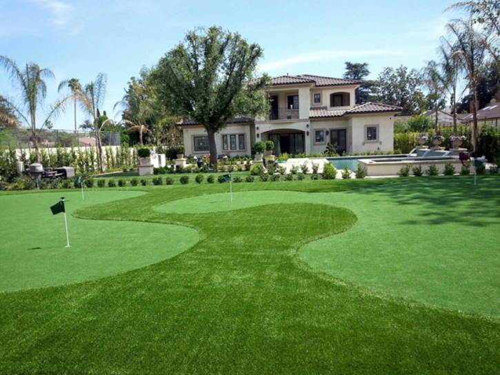 Synthetic Grass Patterson, Georgia Lawns, Front Yard Landscaping