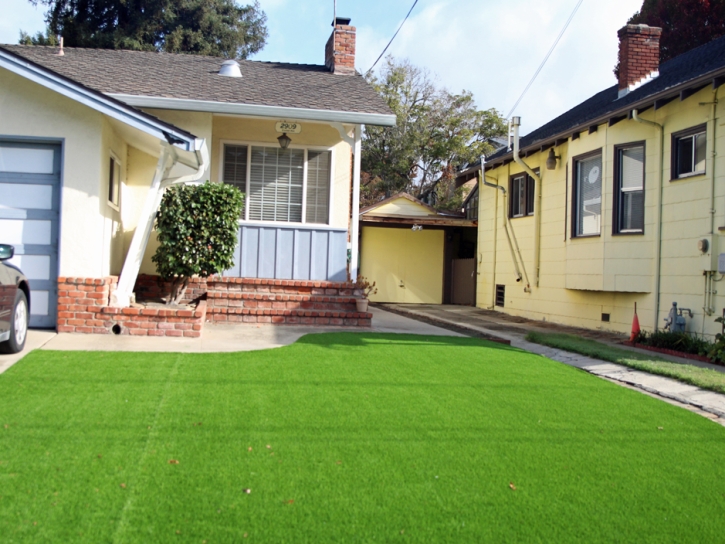 Synthetic Grass Riceboro, Georgia Landscaping, Front Yard Landscaping