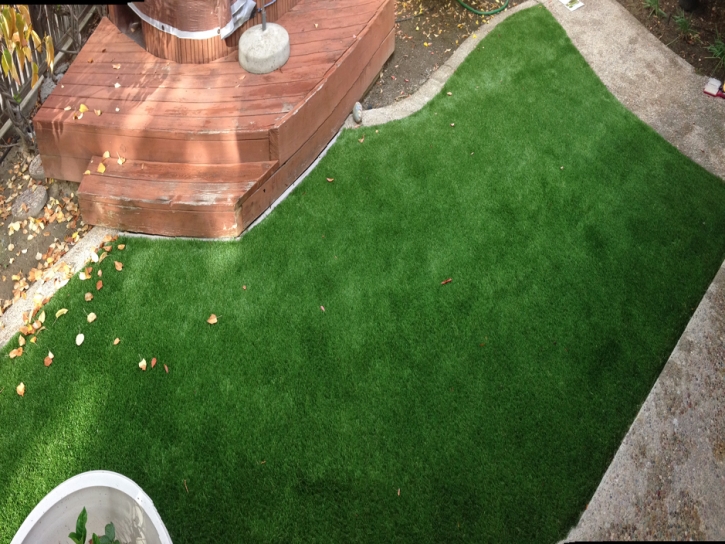 Synthetic Grass Smyrna, Georgia Home And Garden, Backyard Makeover