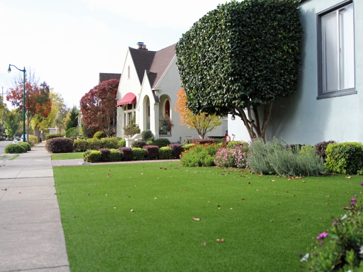 Synthetic Grass Stone Mountain, Georgia Rooftop, Front Yard Ideas