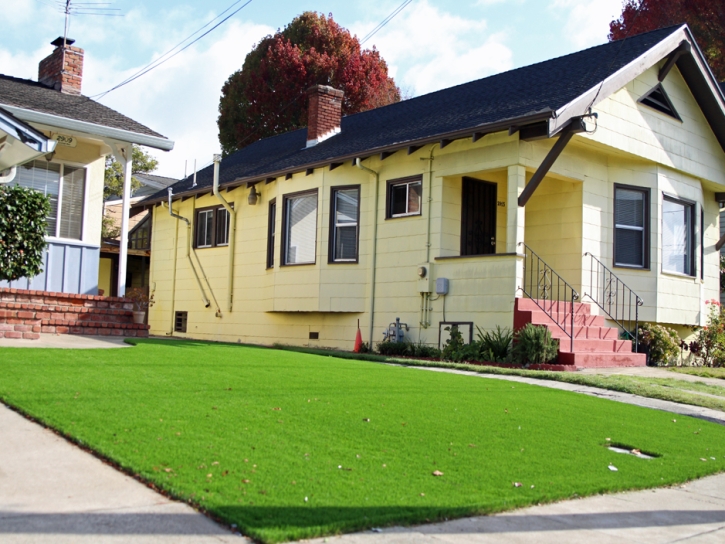 Synthetic Lawn Maysville, Georgia Backyard Deck Ideas, Small Front Yard Landscaping