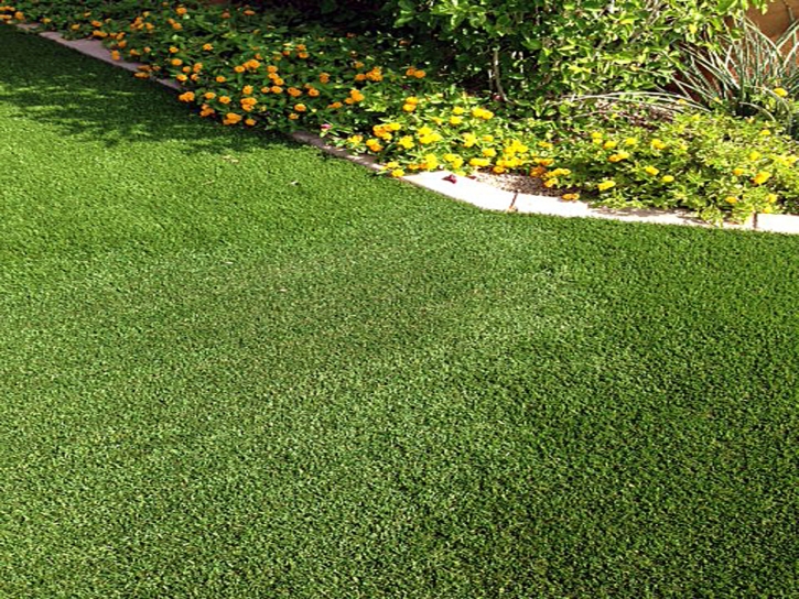 Synthetic Lawn Pineview, Georgia Lawn And Landscape, Front Yard Landscaping Ideas