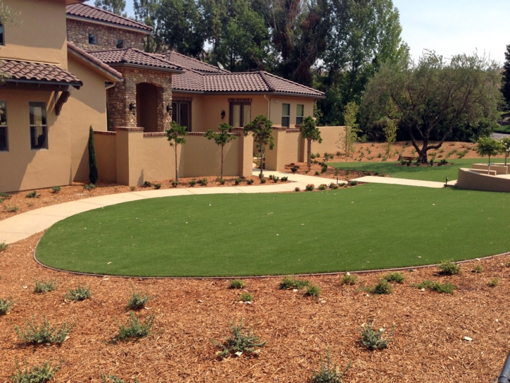 Synthetic Lawn Trion, Georgia Landscape Photos, Landscaping Ideas For Front Yard