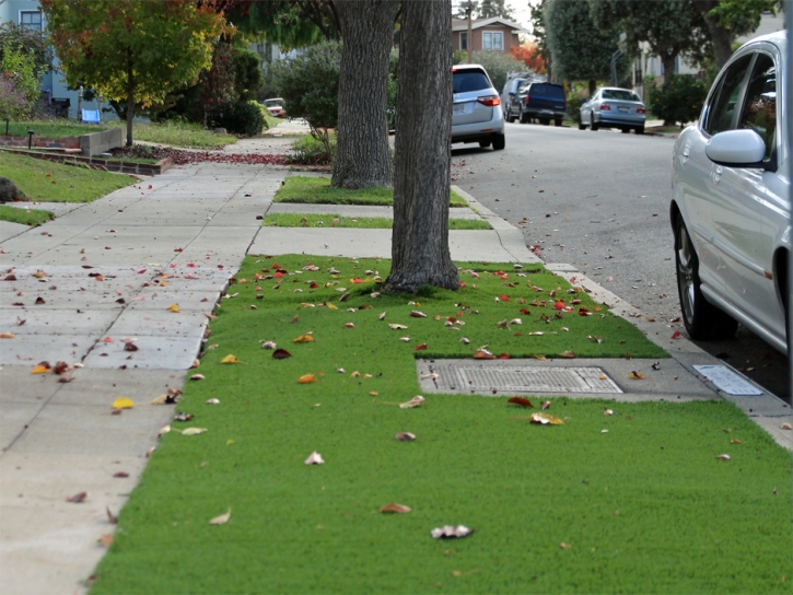 Synthetic Turf Avondale Estates, Georgia Landscape Rock, Front Yard Landscaping Ideas