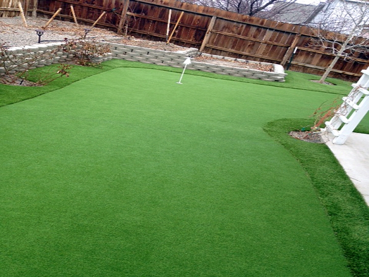 Synthetic Turf Flovilla, Georgia Putting Green Turf, Backyard Design