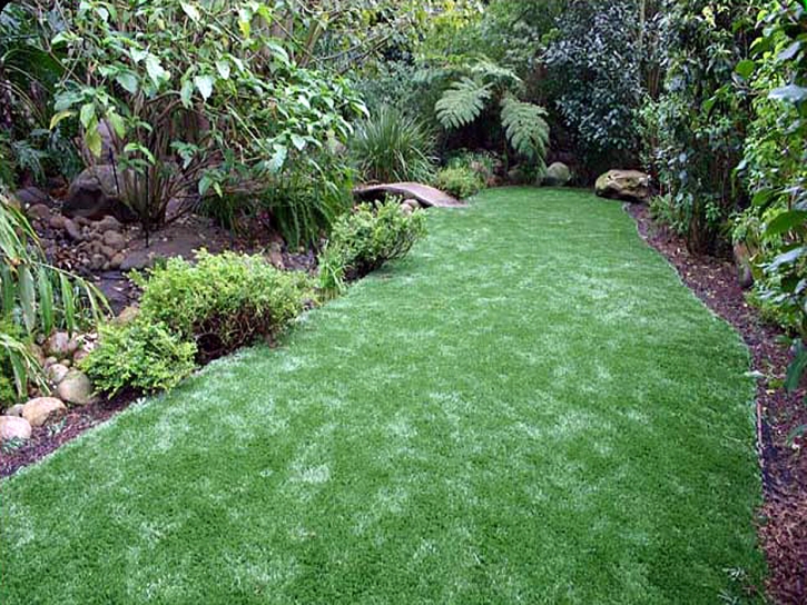 Synthetic Turf Martinez, Georgia City Landscape, Beautiful Backyards