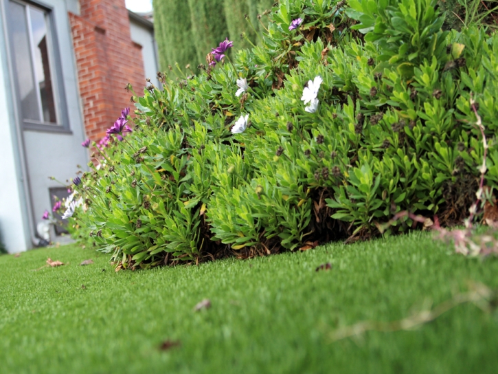 Synthetic Turf Saint Simon Mills, Georgia Gardeners, Front Yard