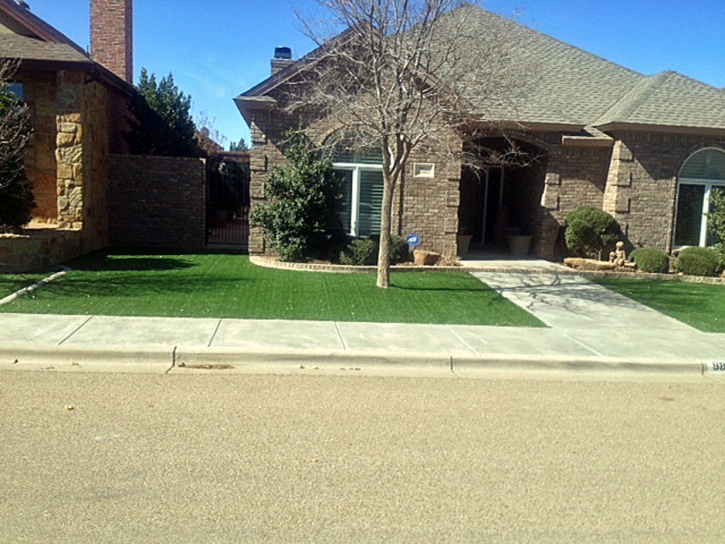 Synthetic Turf Supplier Dearing, Georgia Lawn And Landscape, Landscaping Ideas For Front Yard