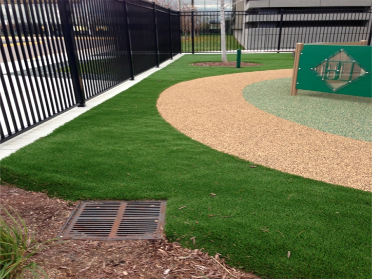 Synthetic Turf Supplier East Dublin, Georgia Landscape Ideas, Commercial Landscape