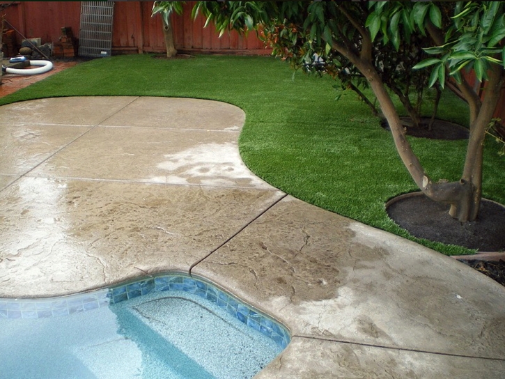 Synthetic Turf Supplier Georgetown, Georgia Landscape Rock, Kids Swimming Pools